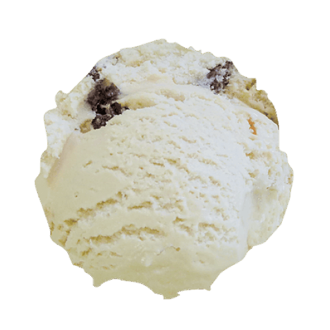 Rum Raisin